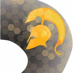 Styleplus SSDIGI211 Flags